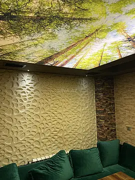 Kirayə verilir obyekt 570 m²