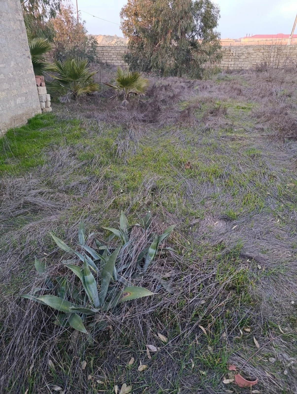 Satılır torpaq sahəsi 6 m²