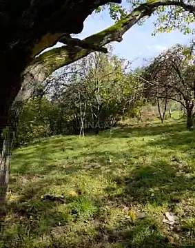 Satılır torpaq sahəsi 12 m²