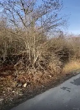 Satılır torpaq sahəsi 12 m²