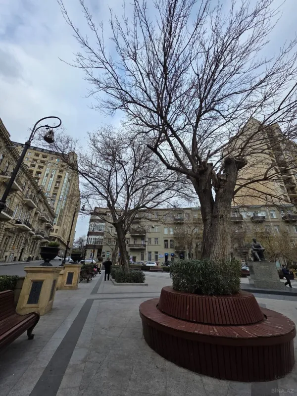 Satılır obyekt 220 m²