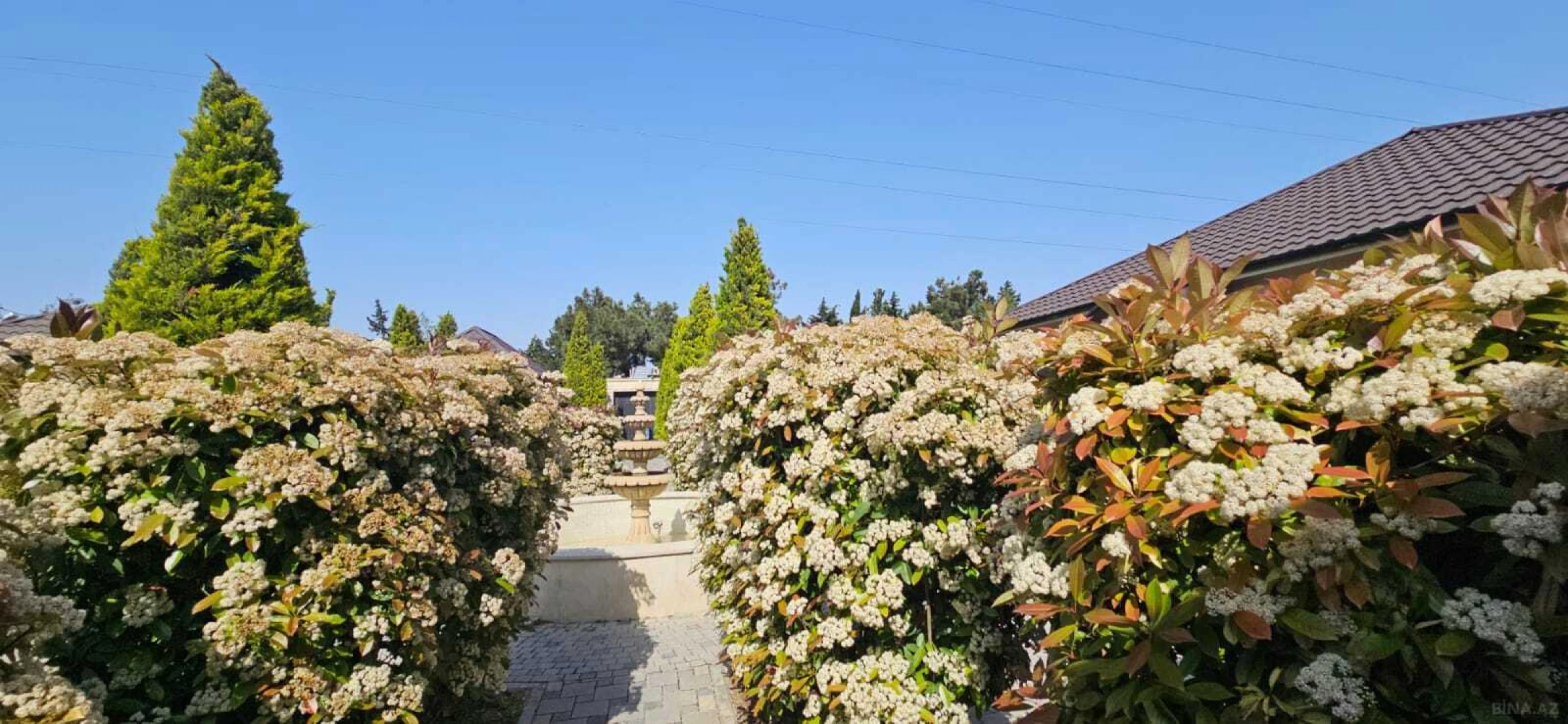 Satılır obyekt 1000 m²