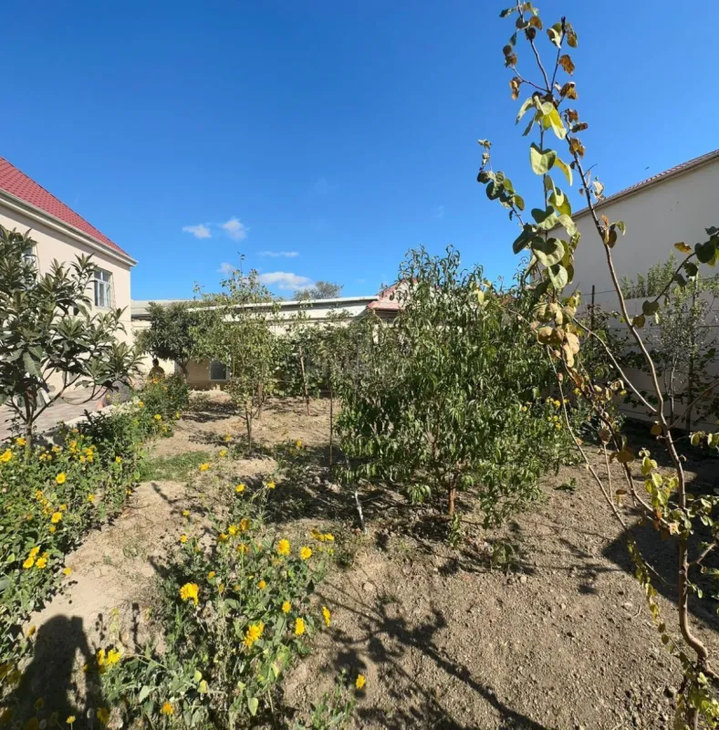 Satılır 9 otaqlı həyət evi 250 m²