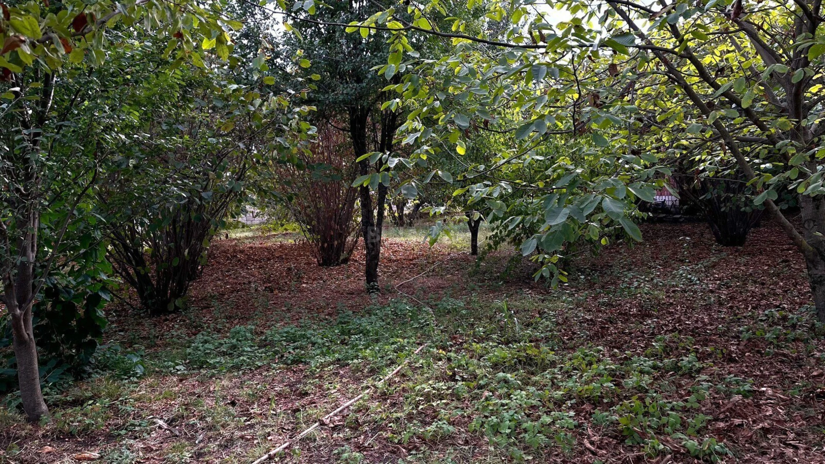 Satılır torpaq sahəsi 15 m²