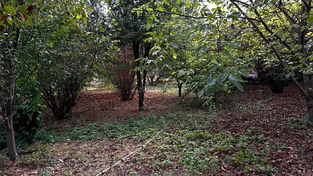 Satılır torpaq sahəsi 15 m²