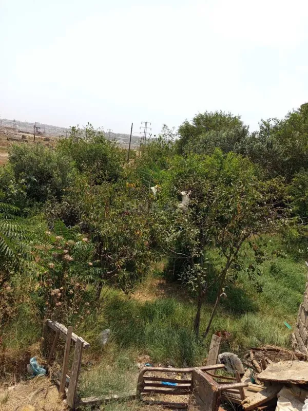 Satılır 1 otaqlı həyət evi 90 m²