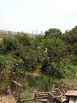 Satılır 1 otaqlı həyət evi 90 m²