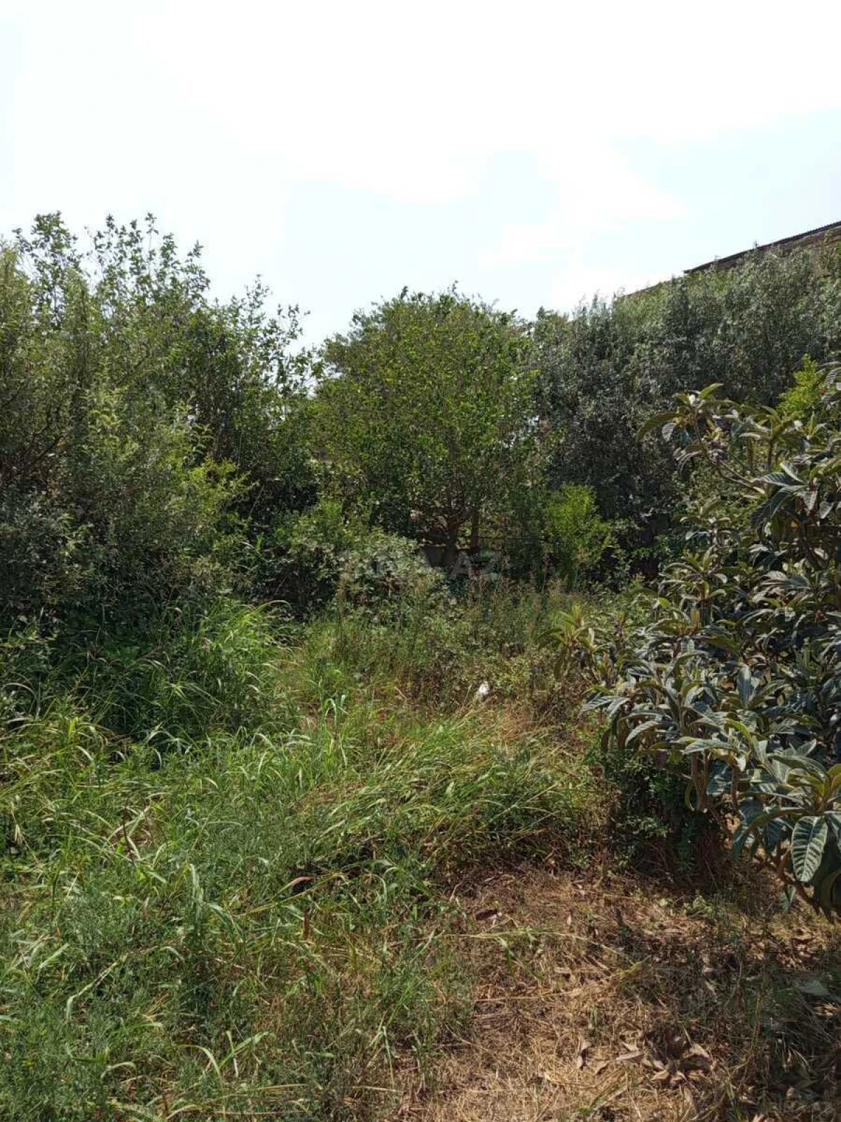 Satılır 1 otaqlı həyət evi 90 m²