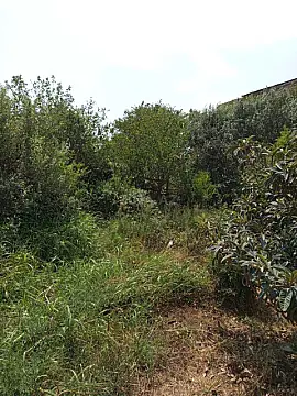 Satılır 1 otaqlı həyət evi 90 m²