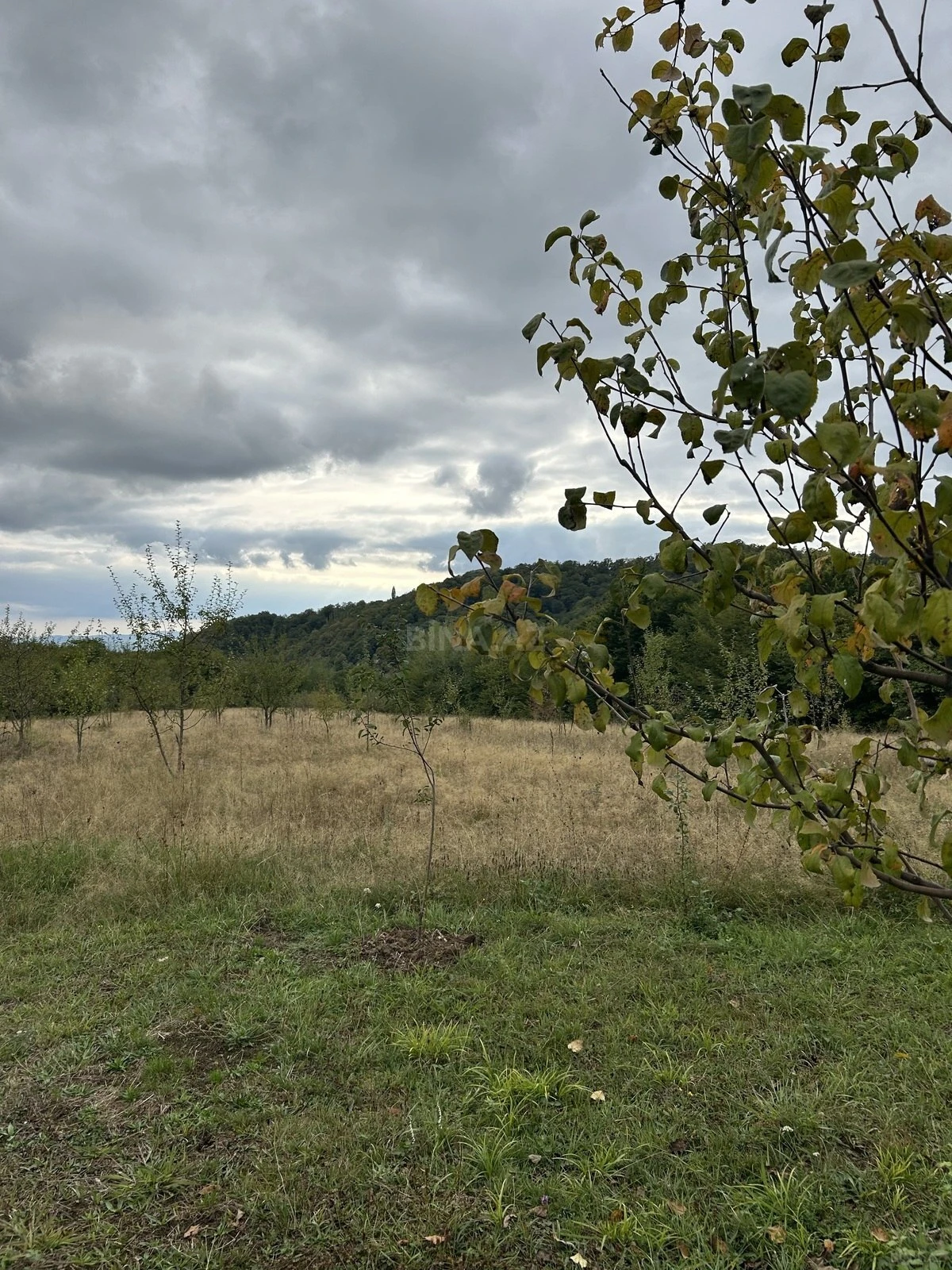 Satılır torpaq sahəsi 10 m²