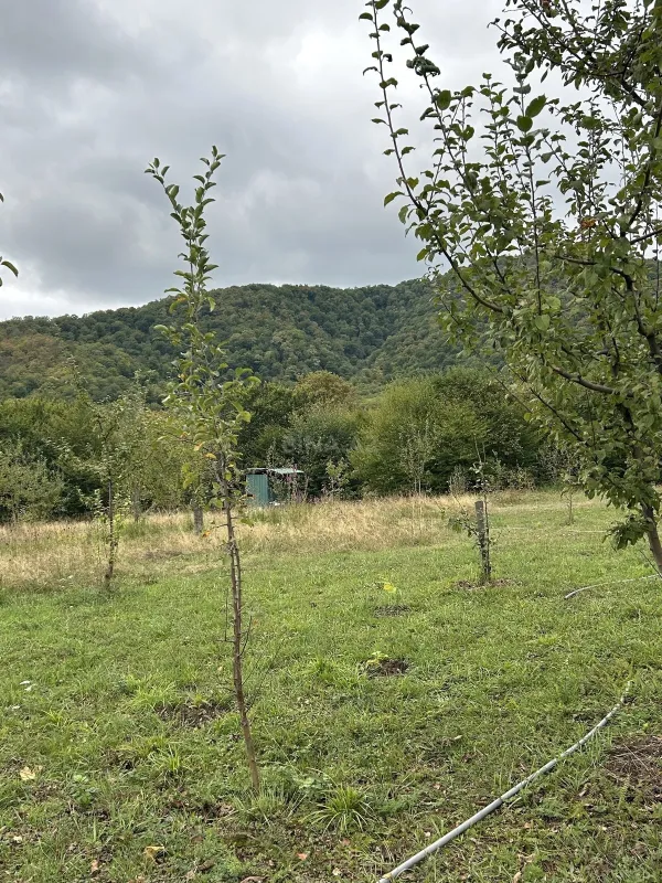 Satılır torpaq sahəsi 10 m²