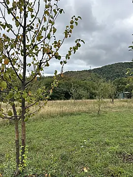 Satılır torpaq sahəsi 10 m²