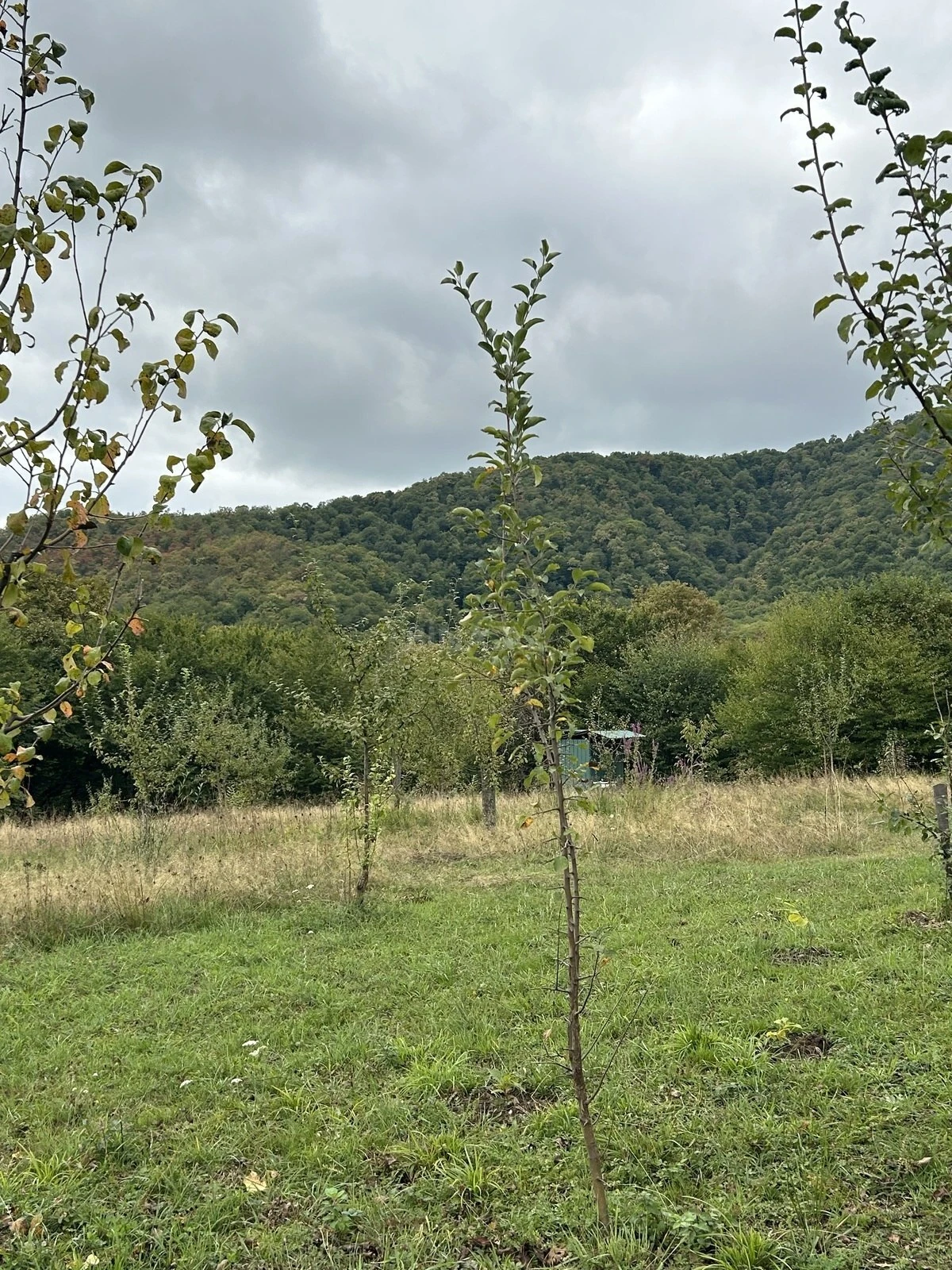 Satılır torpaq sahəsi 10 m²