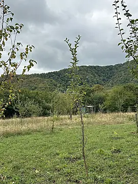 Satılır torpaq sahəsi 10 m²