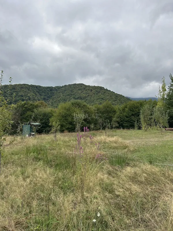 Satılır torpaq sahəsi 10 m²