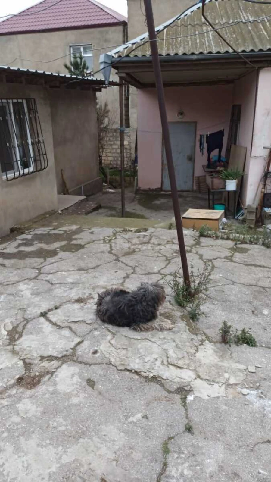 Satılır 4 otaqlı həyət evi 80 m²