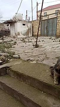 Satılır 4 otaqlı həyət evi 80 m² — Bakı, Binəqədi 4 otaq 80.00 m²