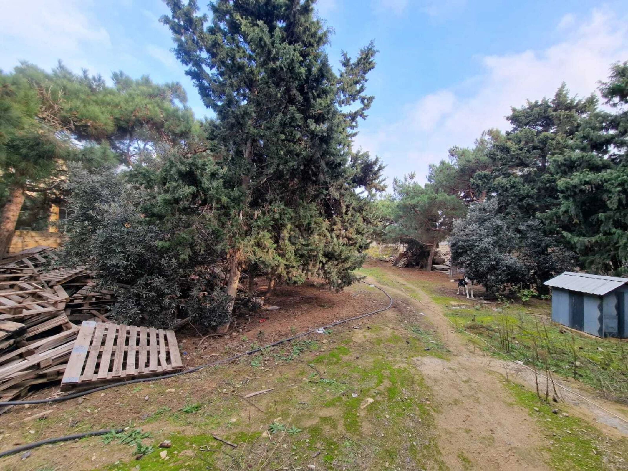 Satılır 9 otaqlı həyət evi 810 m²