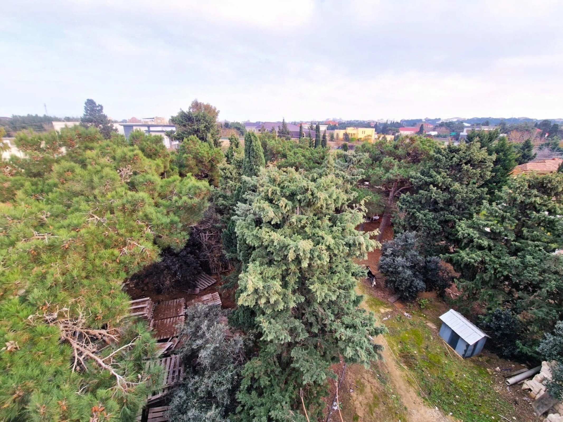 Satılır 9 otaqlı həyət evi 810 m²