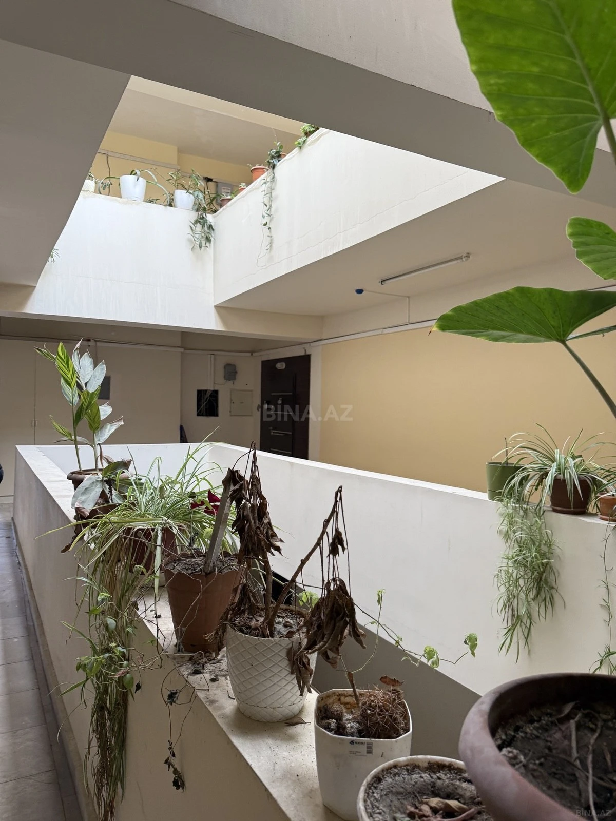 Satılır 2 otaqlı mənzil 55 m²