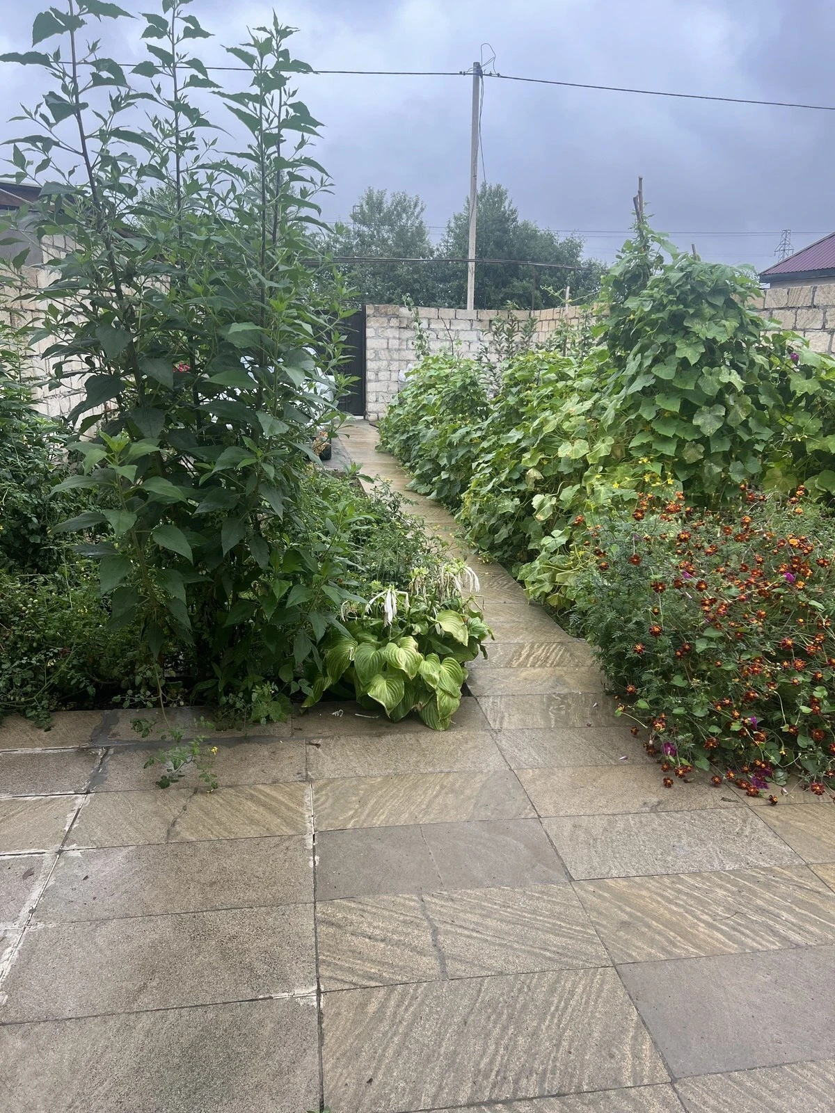 Kirayə verilir 3 otaqlı həyət evi 90 m²