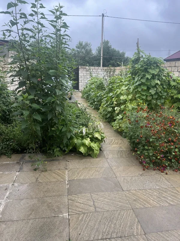 Kirayə verilir 3 otaqlı həyət evi 90 m²