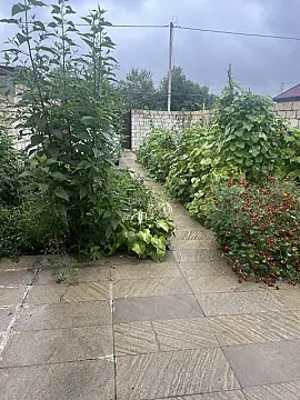 Kirayə verilir 3 otaqlı həyət evi 90 m²