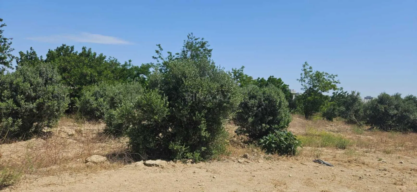 Satılır torpaq sahəsi 800 m²