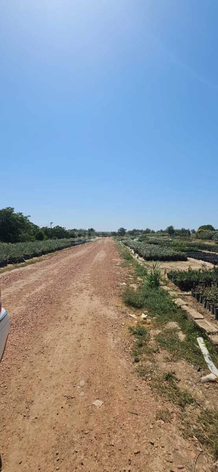 Satılır torpaq sahəsi 800 m²