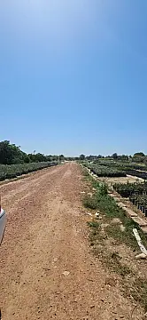 Satılır torpaq sahəsi 800 m²