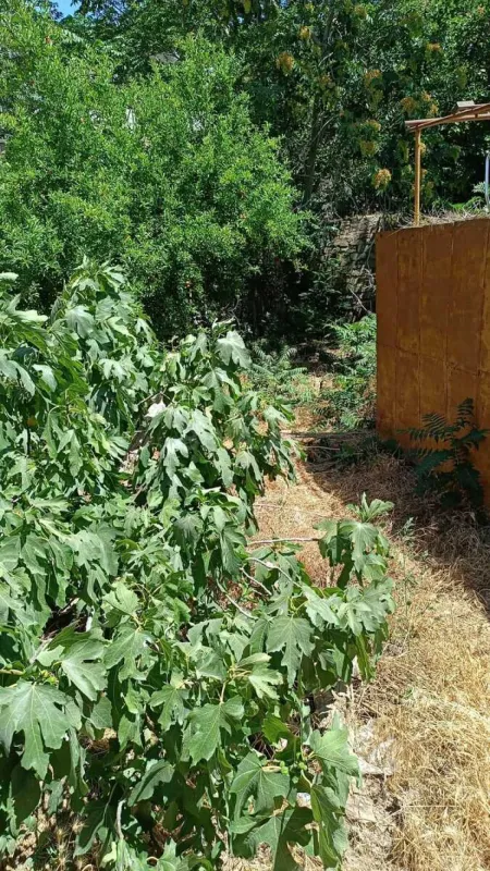 Satılır 4 otaqlı həyət evi 125 m²