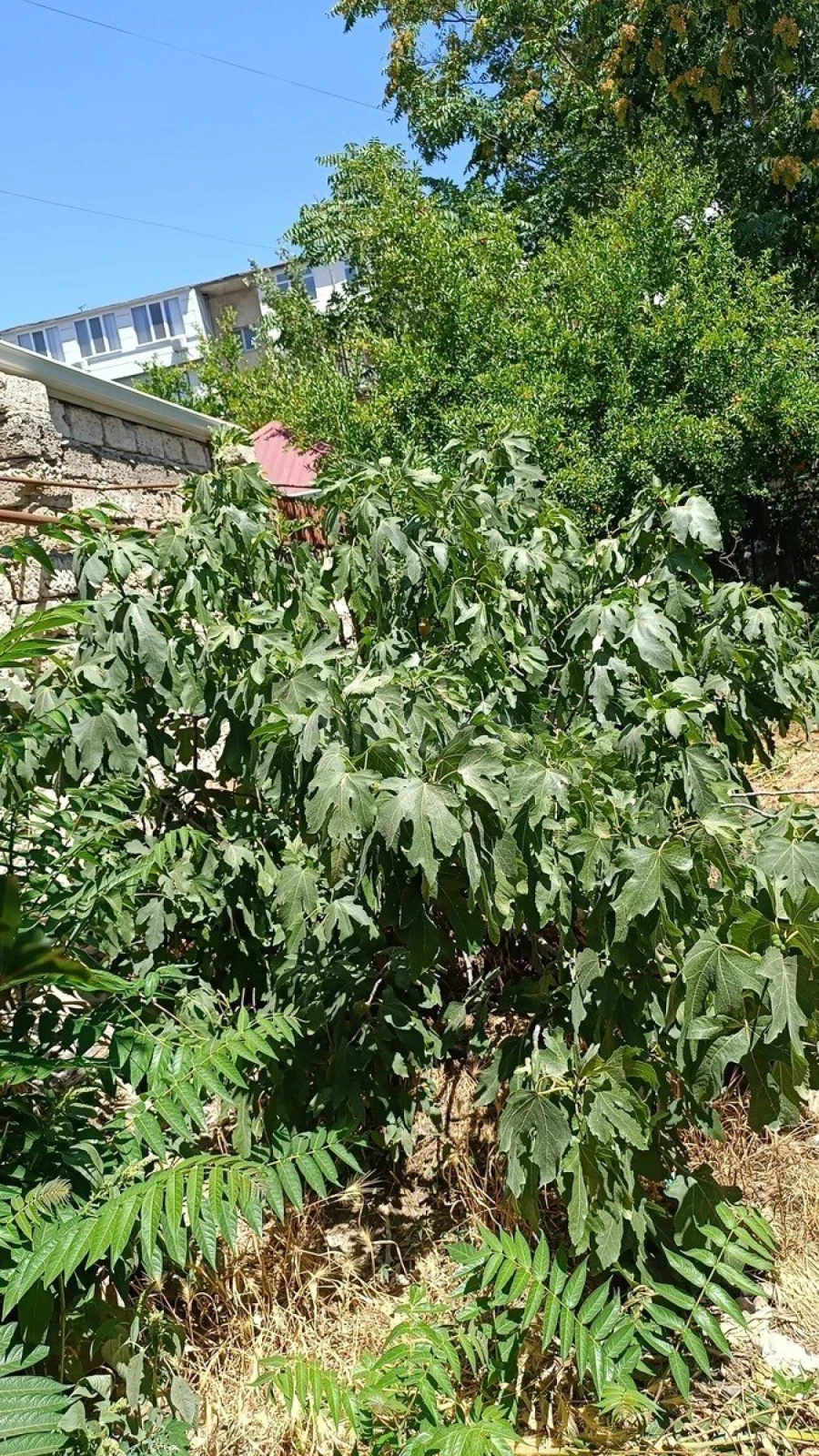 Satılır 4 otaqlı həyət evi 125 m²