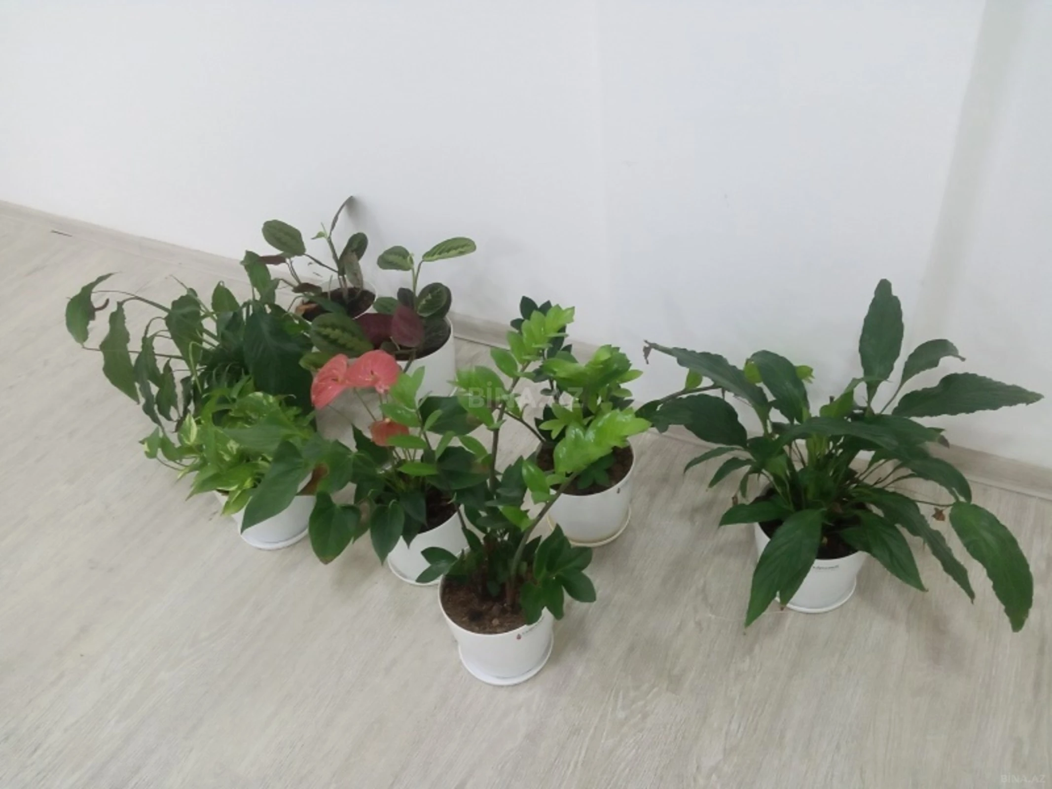 Kirayə verilir 1 otaqlı ofis 50 m²