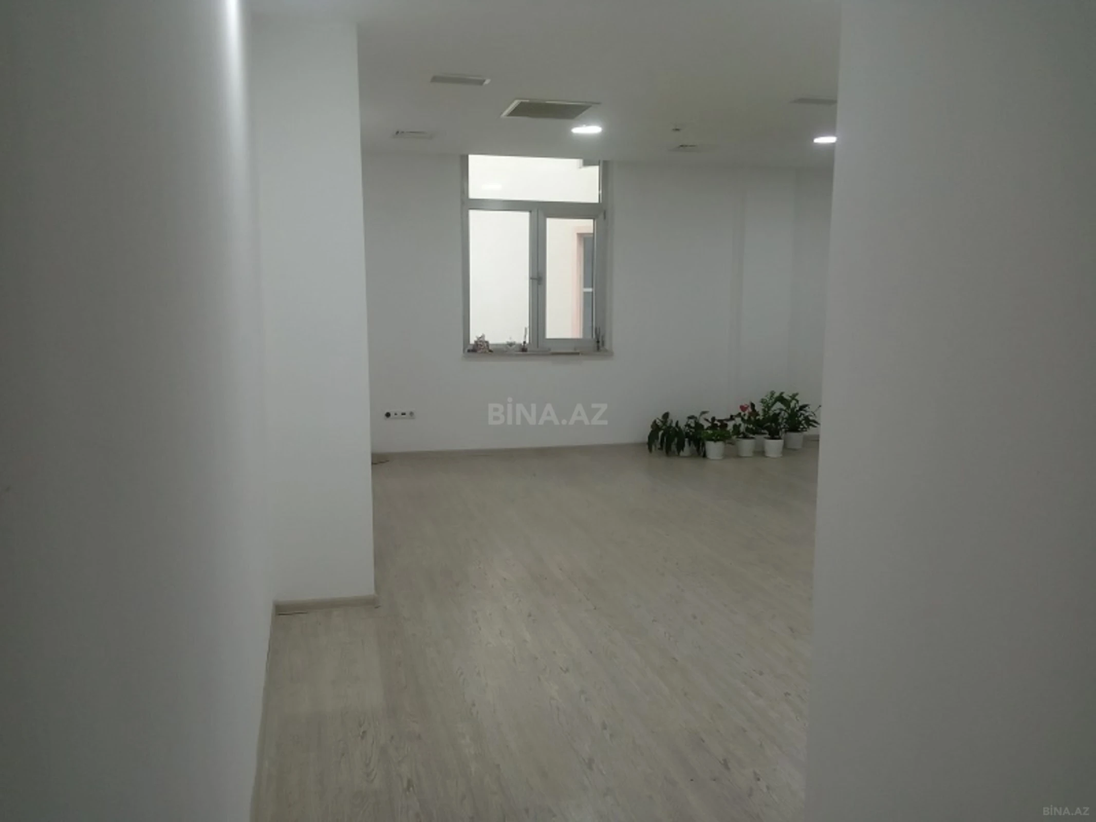 Kirayə verilir 1 otaqlı ofis 50 m²