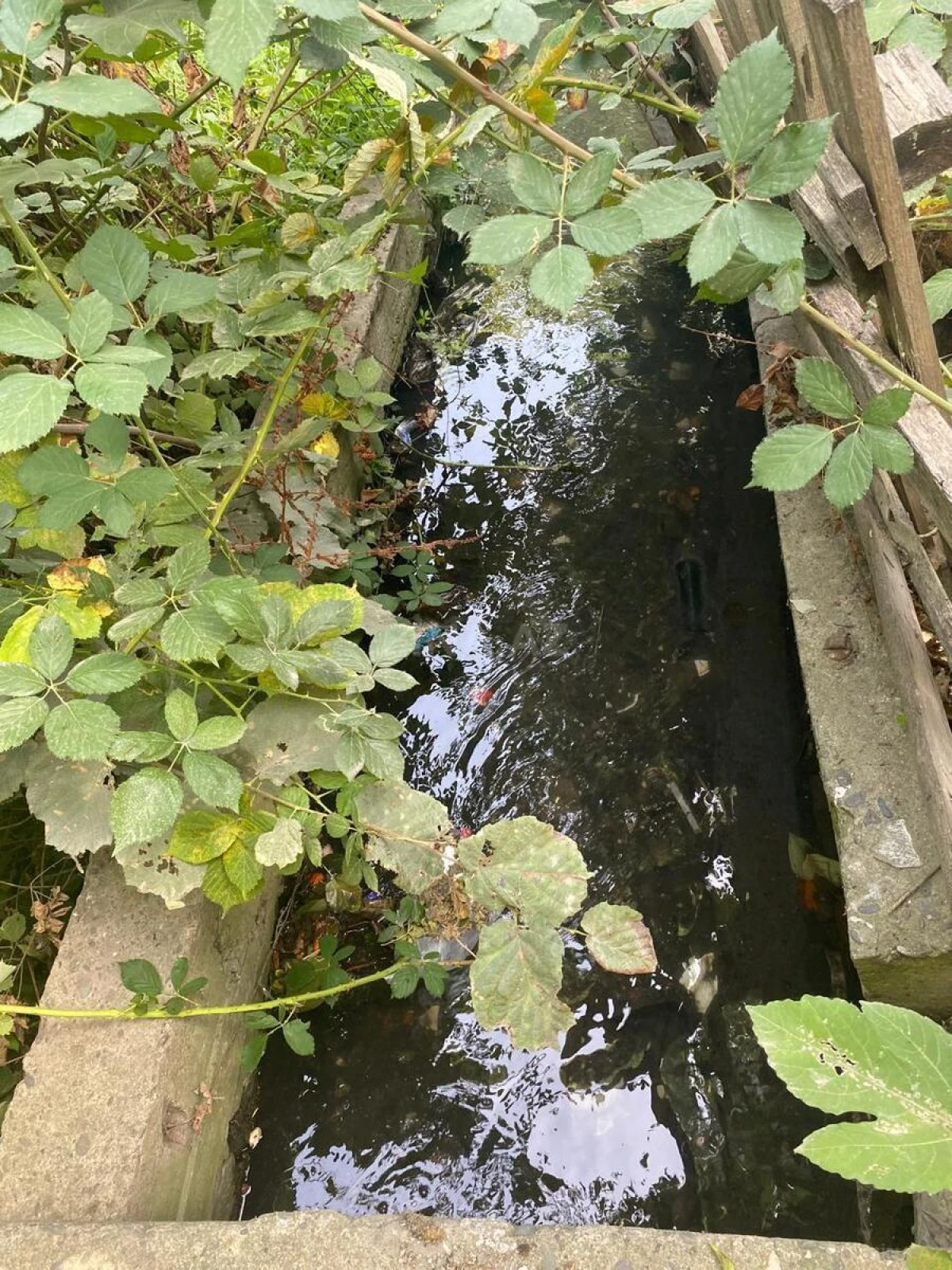 Satılır 5 otaqlı həyət evi 150 m²