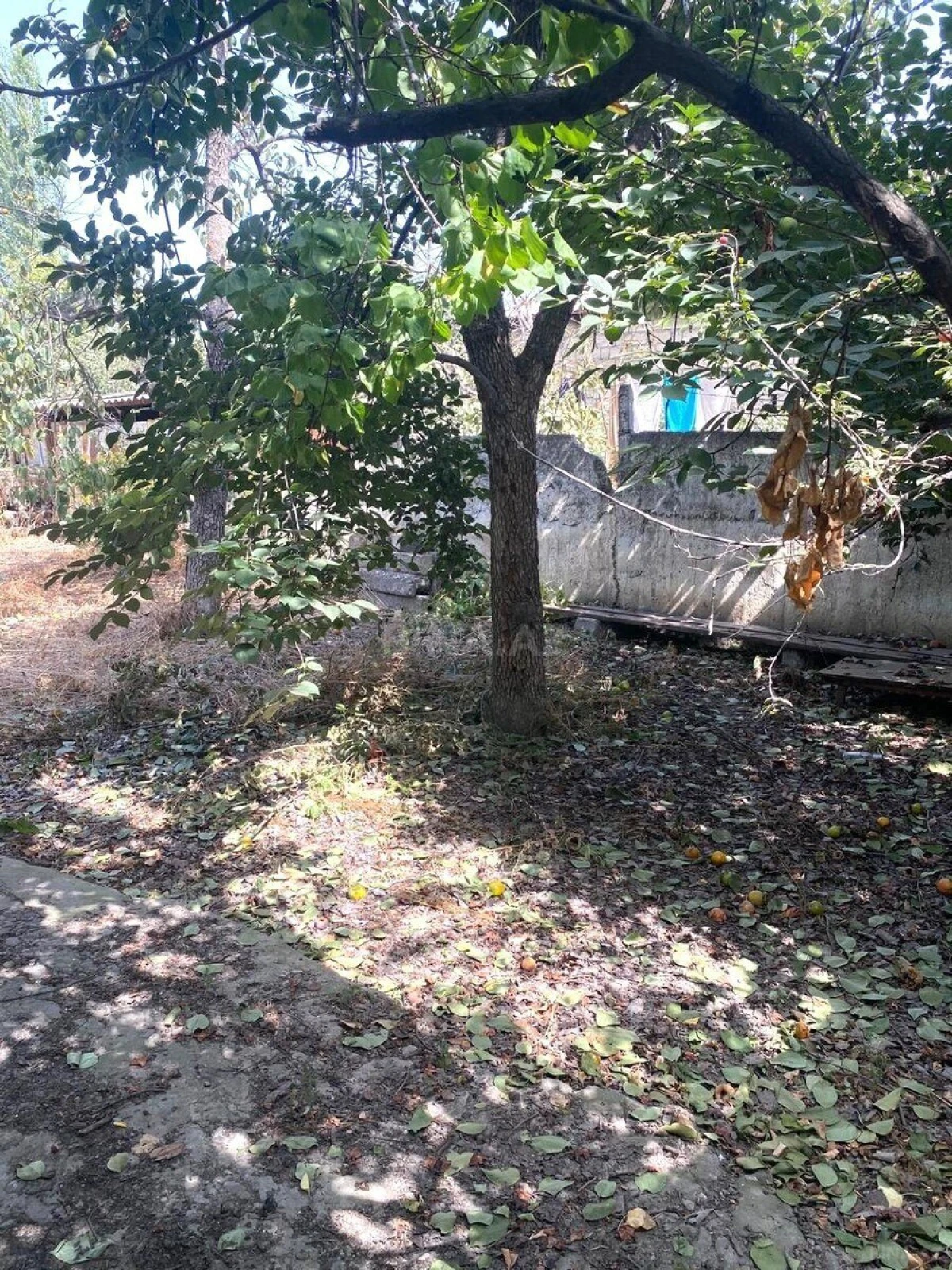 Satılır 5 otaqlı həyət evi 150 m²