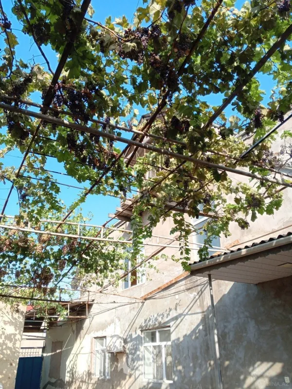 Satılır 10 otaqlı həyət evi 320 m²