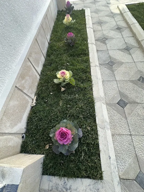 Satılır 5 otaqlı həyət evi 208 m²