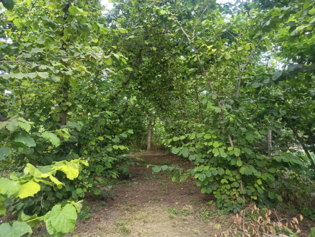 Satılır 4 otaqlı həyət evi 360 m²