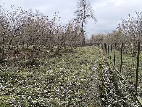 Satılır torpaq sahəsi 44 m²