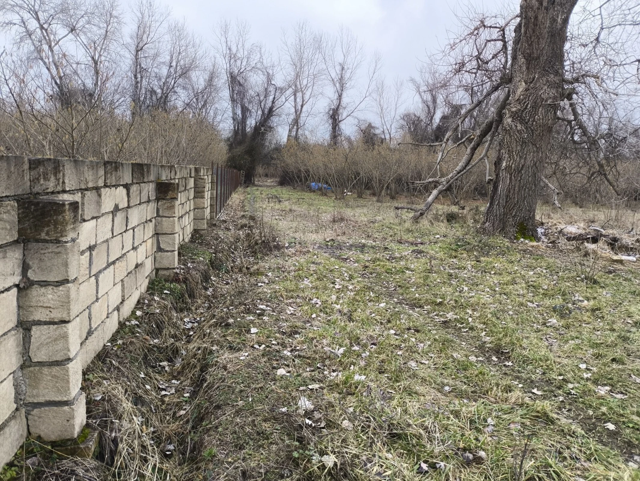 Satılır torpaq sahəsi 44 m²