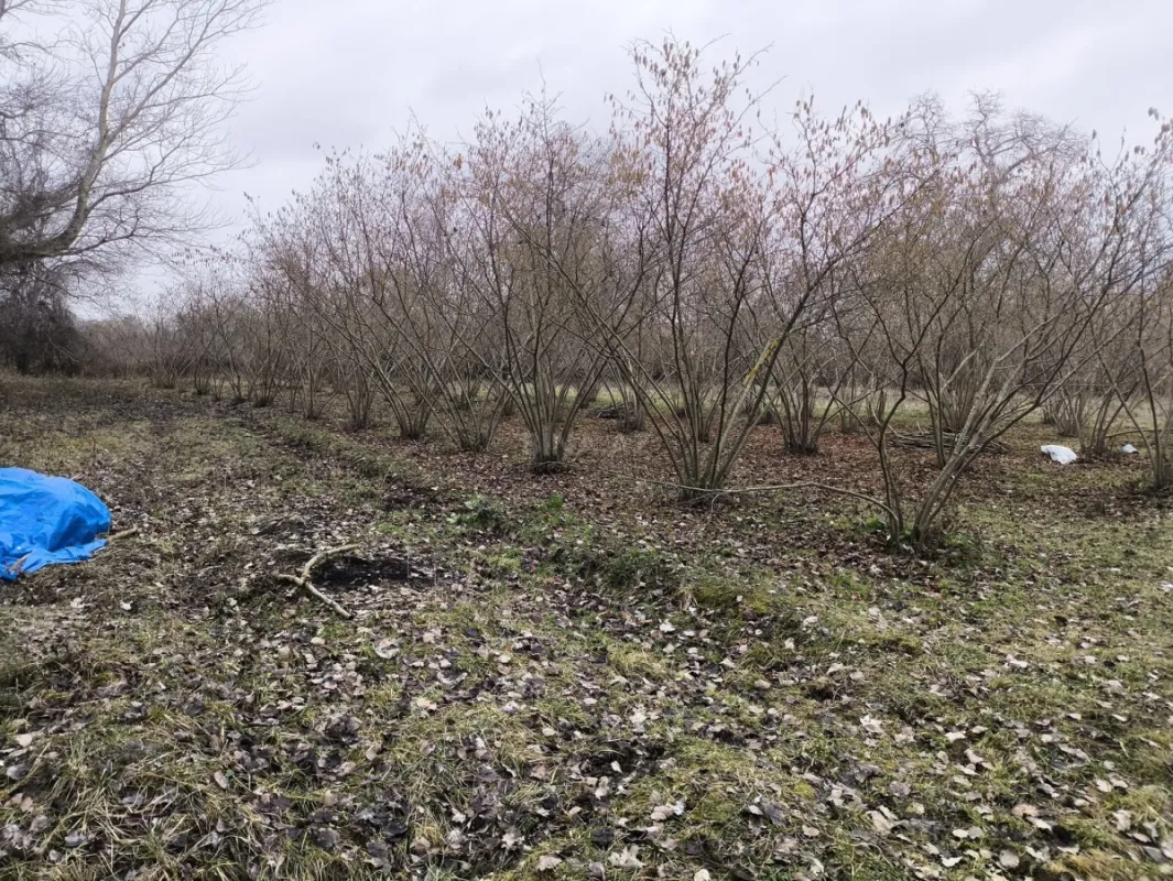 Satılır torpaq sahəsi 44 m²