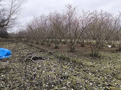 Satılır torpaq sahəsi 44 m² — Bakı 44.00 m²