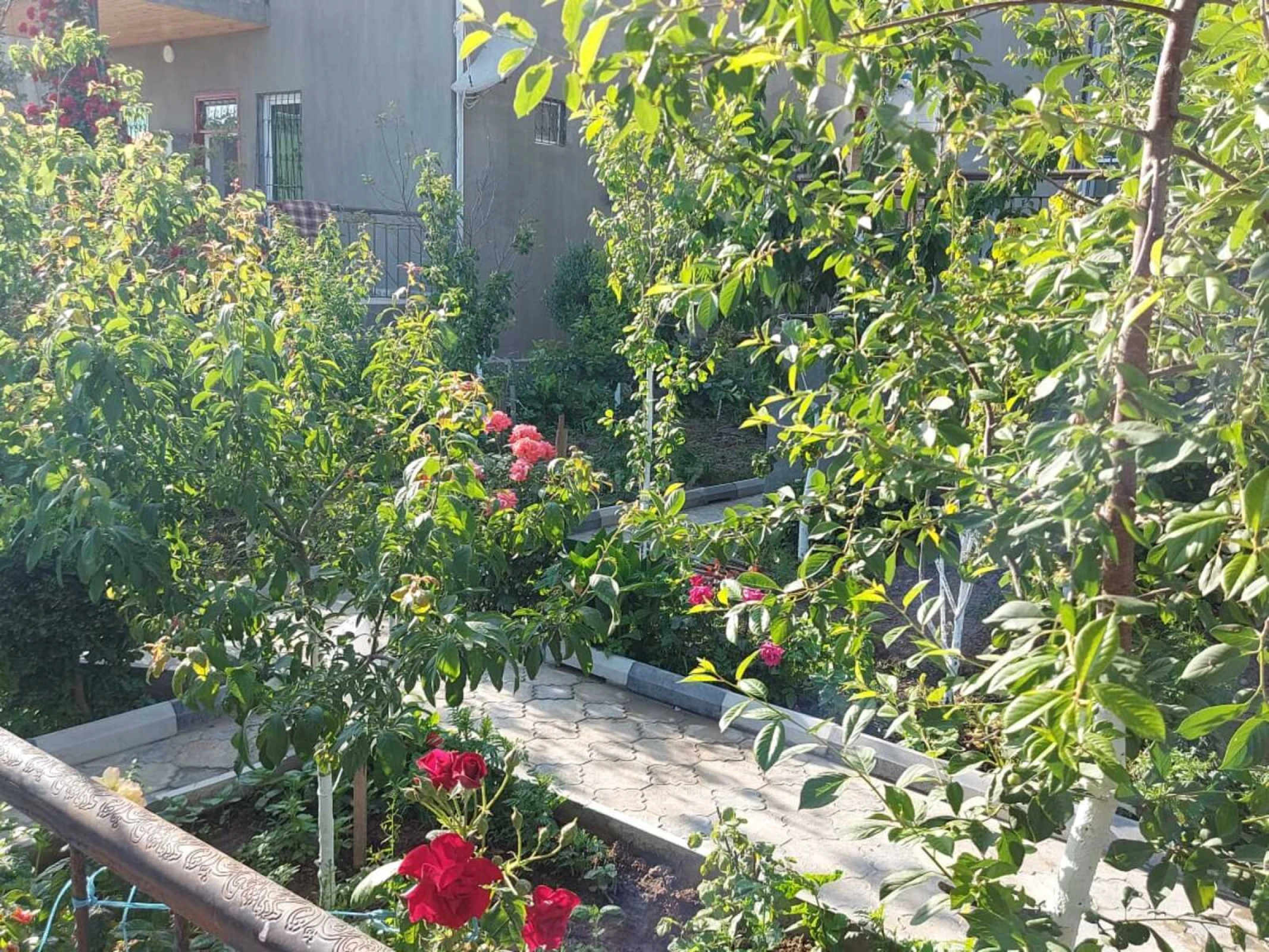 Kirayə verilir 5 otaqlı həyət evi 200 m²