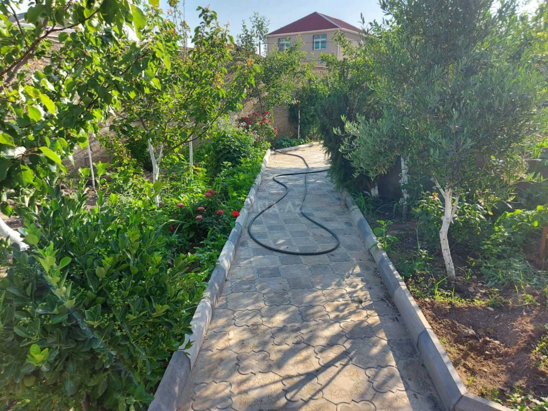 Kirayə verilir 5 otaqlı həyət evi 200 m²