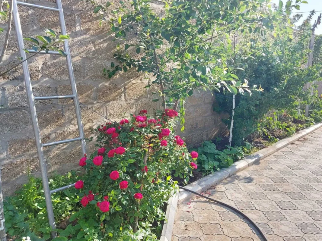 Kirayə verilir 5 otaqlı həyət evi 200 m²