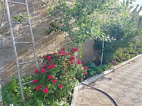 Kirayə verilir 5 otaqlı həyət evi 200 m²