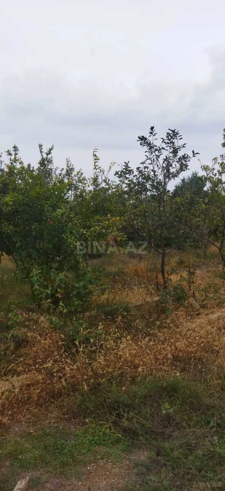 Satılır 3 otaqlı həyət evi 110 m²