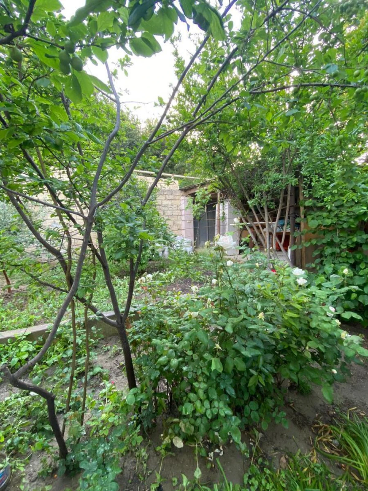 Satılır 3 otaqlı həyət evi 70 m²