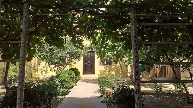 Satılır obyekt 335 m²